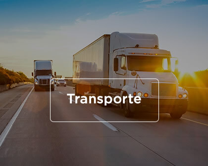 Seguro Transporte